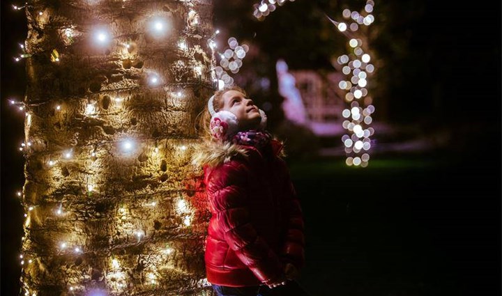 Najlepši otoški advent 3